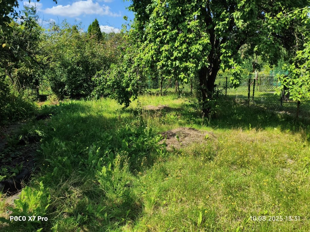 Działka rod Jawor, ul. Piastowska