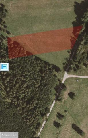 Działka rolna Jaworek. Zdjęcie 1