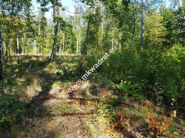 Działka budowlana Żółwin. Zdjęcie 1