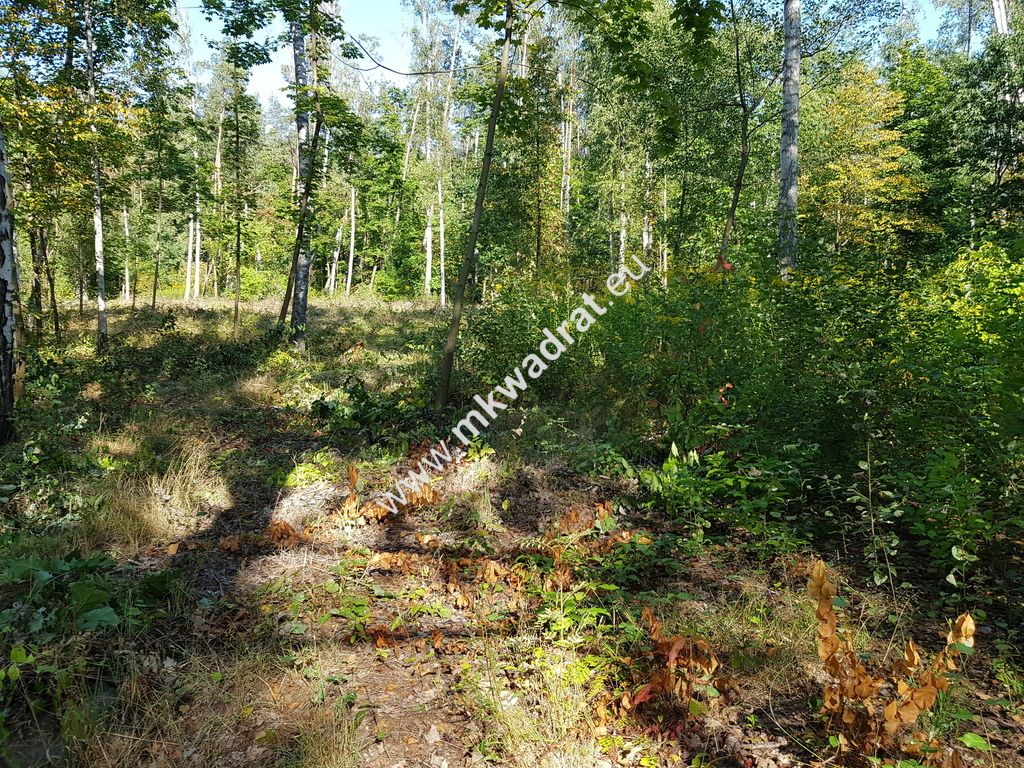 Działka budowlana Żółwin. Zdjęcie 1