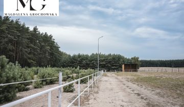 dom wolnostojący, 4 pokoje Zajączkowo