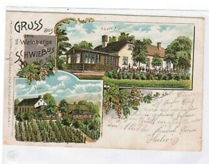 dom wolnostojący Świebodzin. Zdjęcie 3