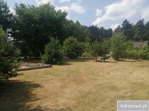 Działka budowlana Konewka. Zdjęcie 4