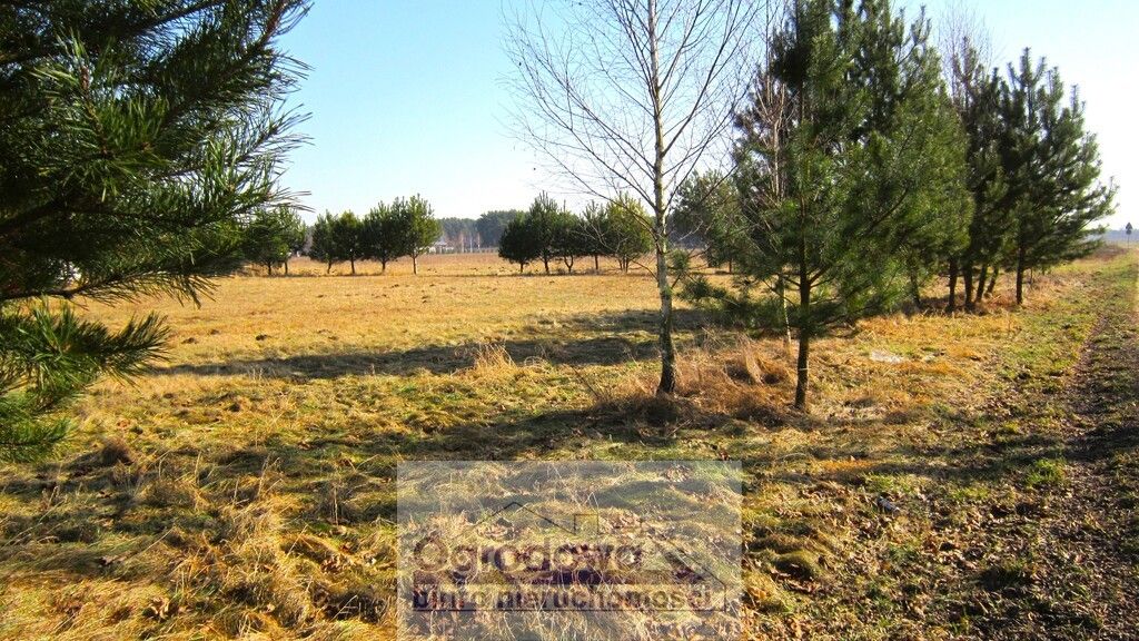 Działka Sekłak. Zdjęcie 3