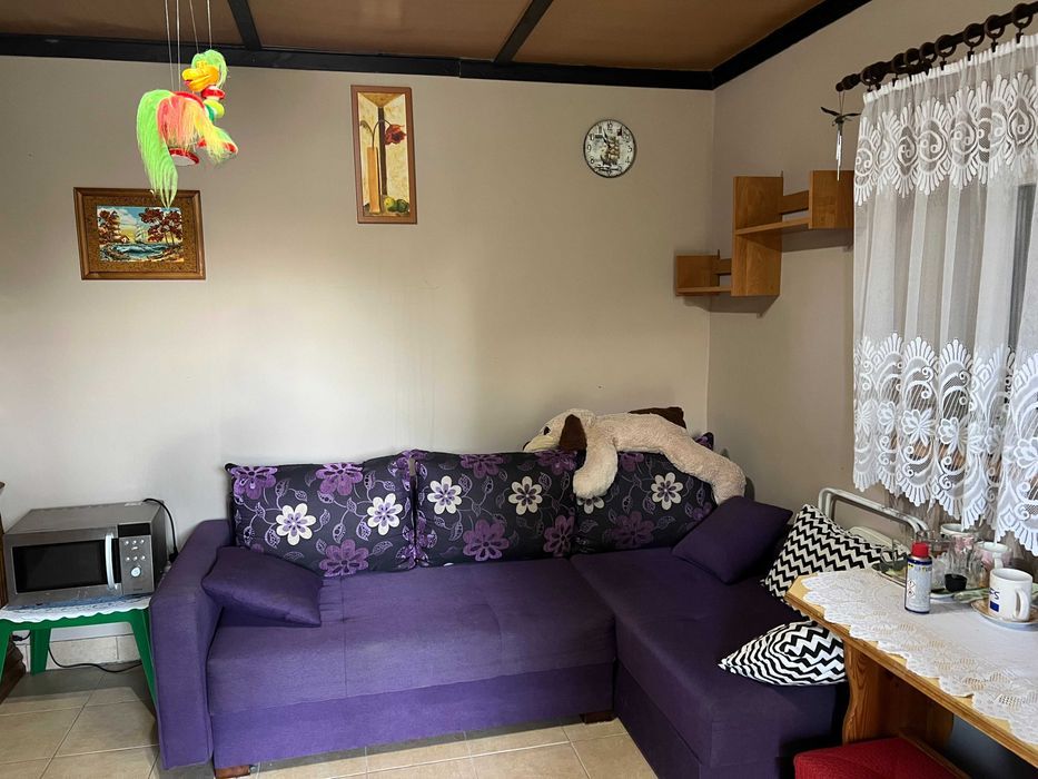 Działka rod Grzybiany. Zdjęcie 6