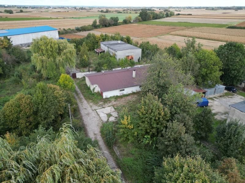 Hala/magazyn Siedliszowice. Zdjęcie 6