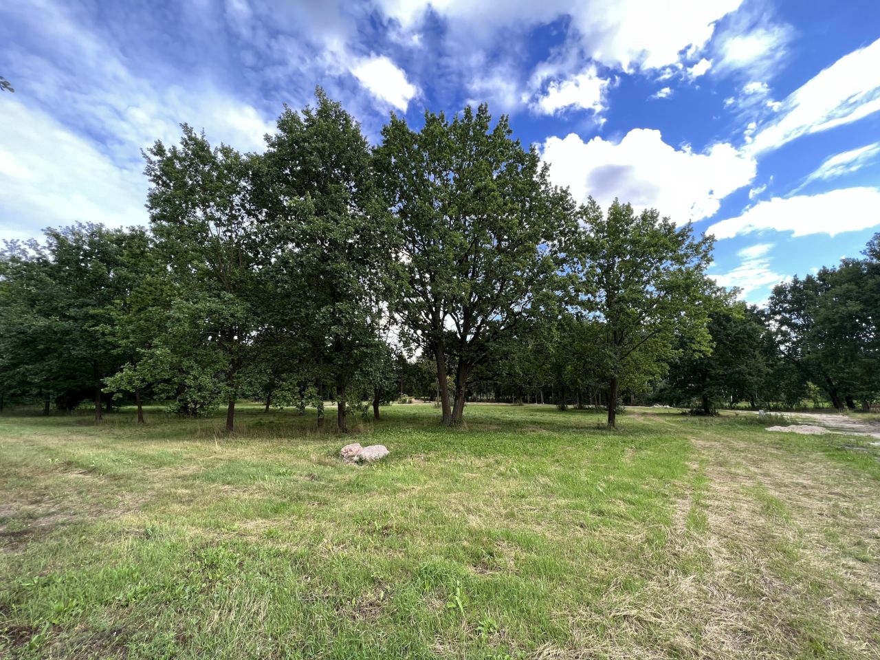 Działka budowlana Wiktorów, ul. Rybno. Zdjęcie 2