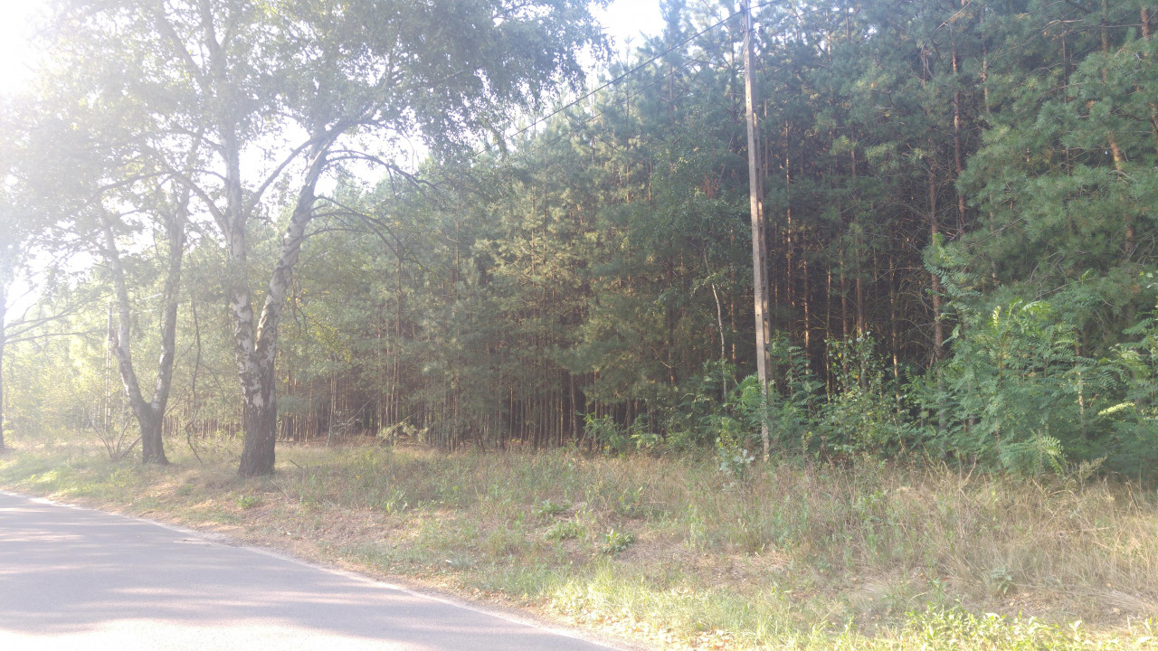 Działka budowlana Lipiny, ul. Bankowa. Zdjęcie 7