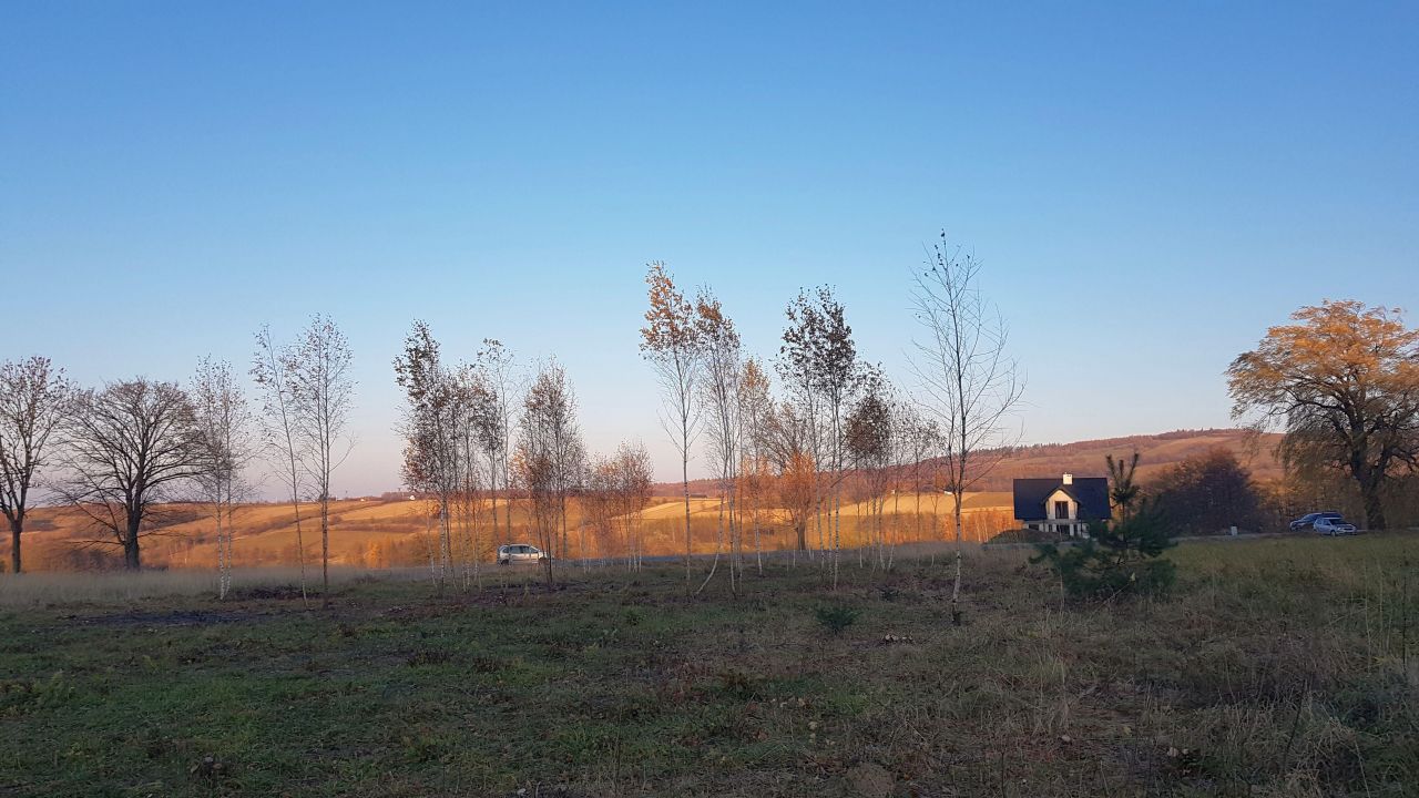 Działka budowlana Łysa Góra. Zdjęcie 2