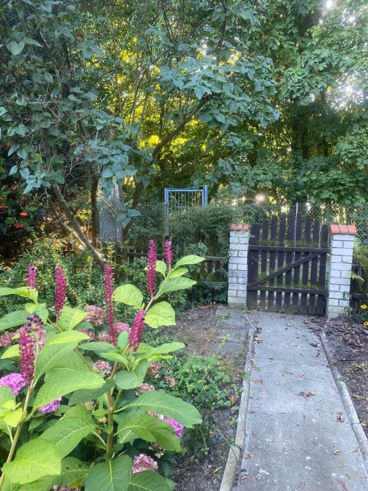 Działka rod Chełmica Duża. Zdjęcie 4