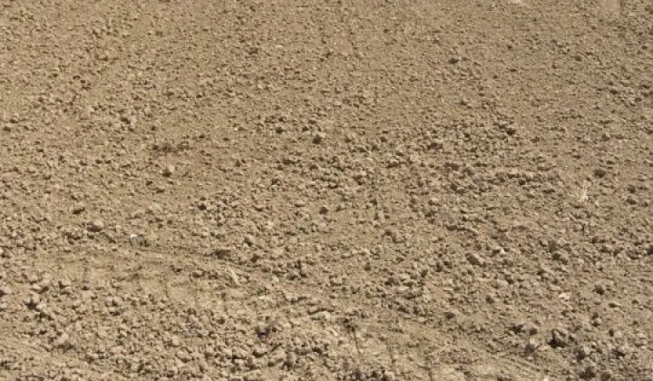 Działka budowlana Nowa Wieś, ul. Stefana Żeromskiego