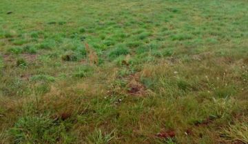 Działka budowlana Lubiewice