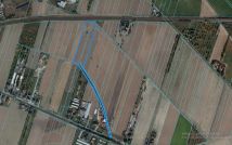 Działka rolno-budowlana Buk. Zdjęcie 3