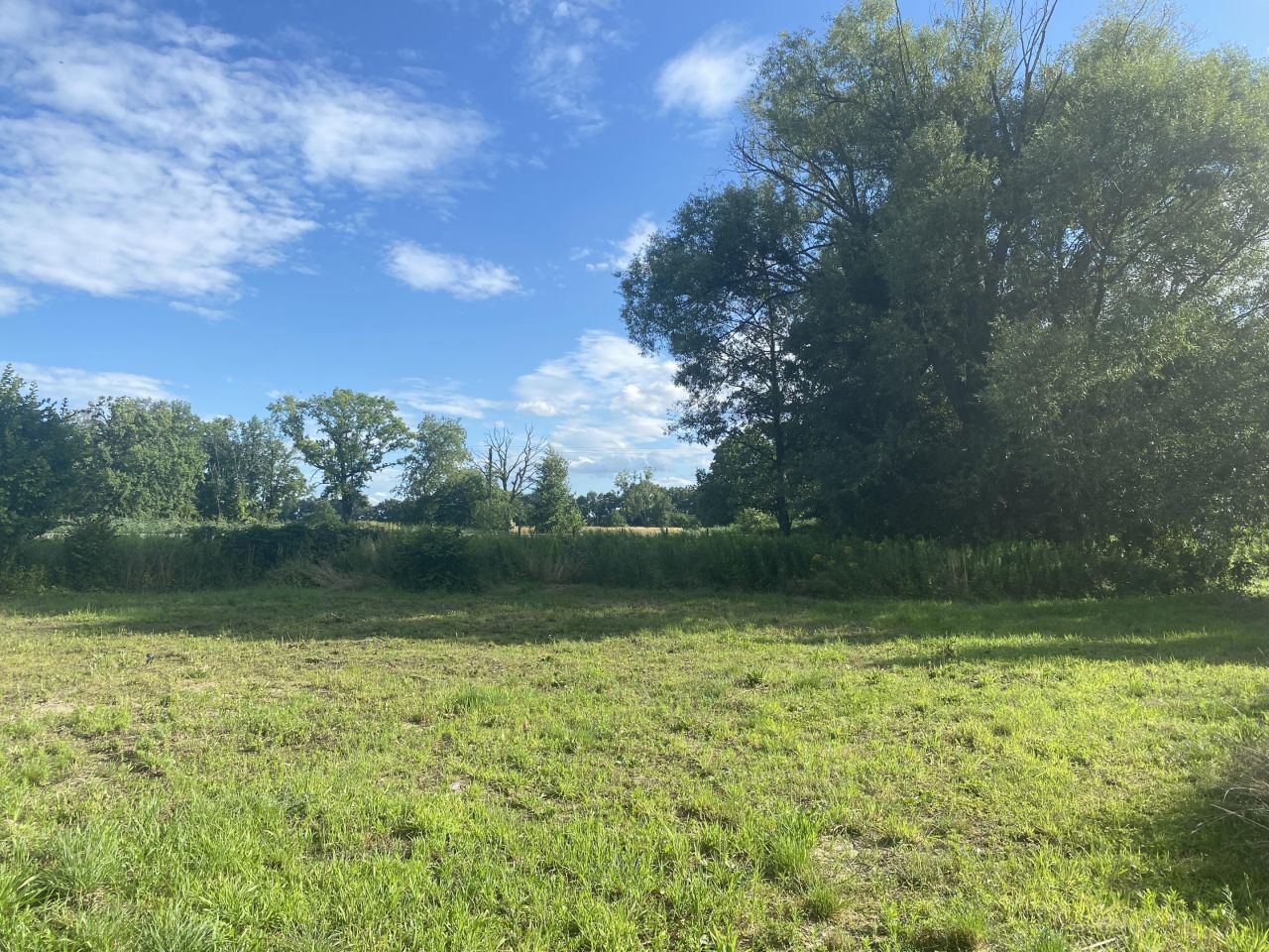 Działka budowlana Wilczyce, ul. Dworska. Zdjęcie 2