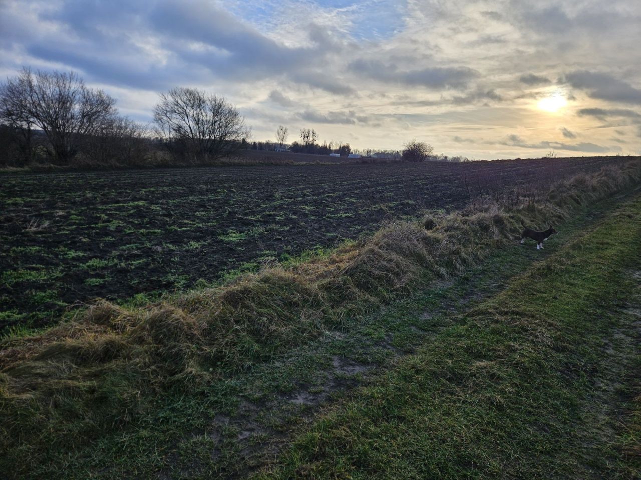 Działka budowlana Zwierzewo. Zdjęcie 5