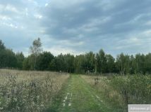 Działka rolno-budowlana Elgnówko. Zdjęcie 4