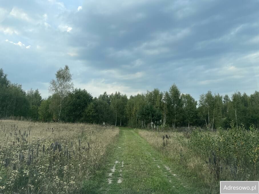 Działka rolno-budowlana Elgnówko. Zdjęcie 5