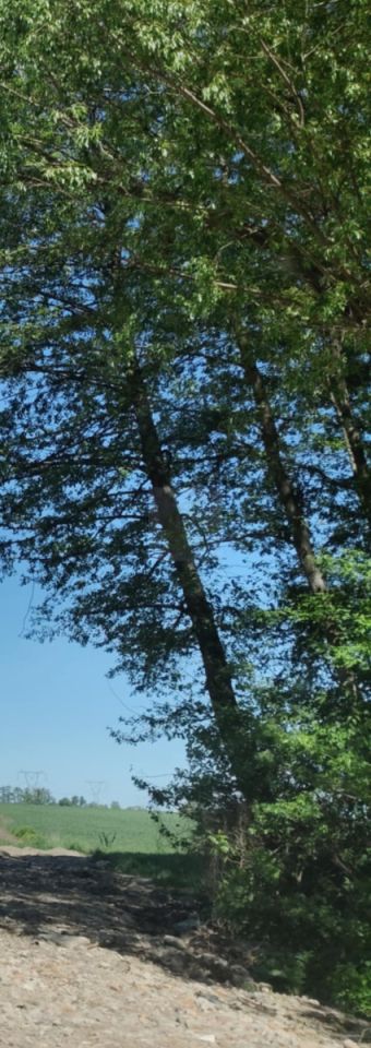 Działka budowlana Bramki, ul. Północna. Zdjęcie 2