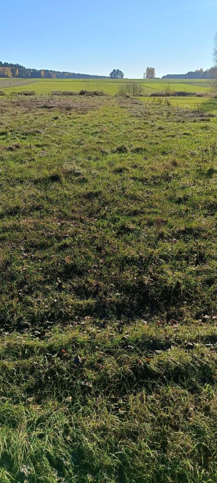 Działka rolna Kuźnica Nowa. Zdjęcie 2