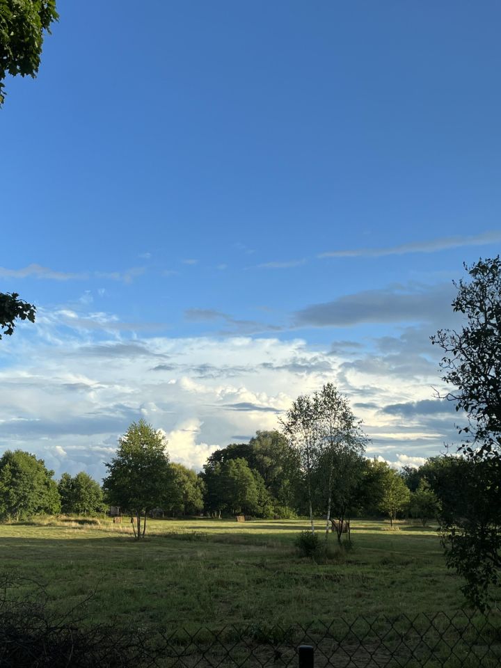 Działka siedliskowa Aleksandrów. Zdjęcie 10