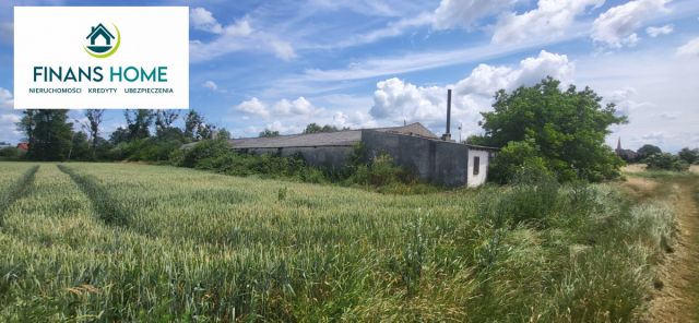 Działka inwestycyjna Grodków Półwiosek, ul. Leśna. Zdjęcie 1