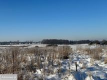 Działka budowlana Chudów, ul. Zabrska. Zdjęcie 1