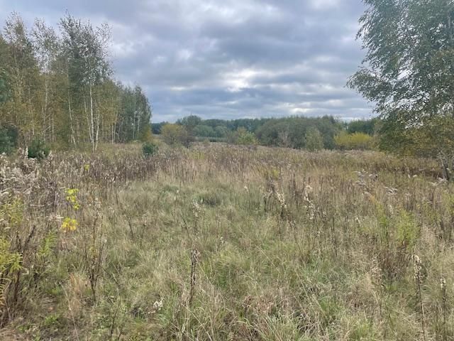 Działka budowlana Barcice Drwalewskie. Zdjęcie 4