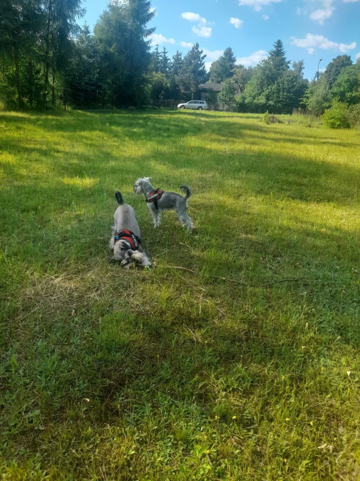 Działka budowlana Częstochowa Lisiniec, ul. Naftowa. Zdjęcie 5