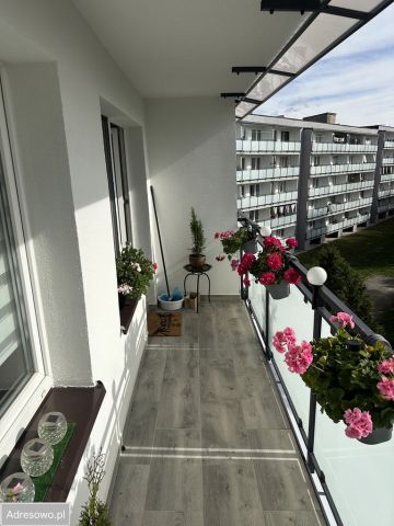 Mieszkanie 2-pokojowe Bełchatów, os. Okrzei. Zdjęcie 11