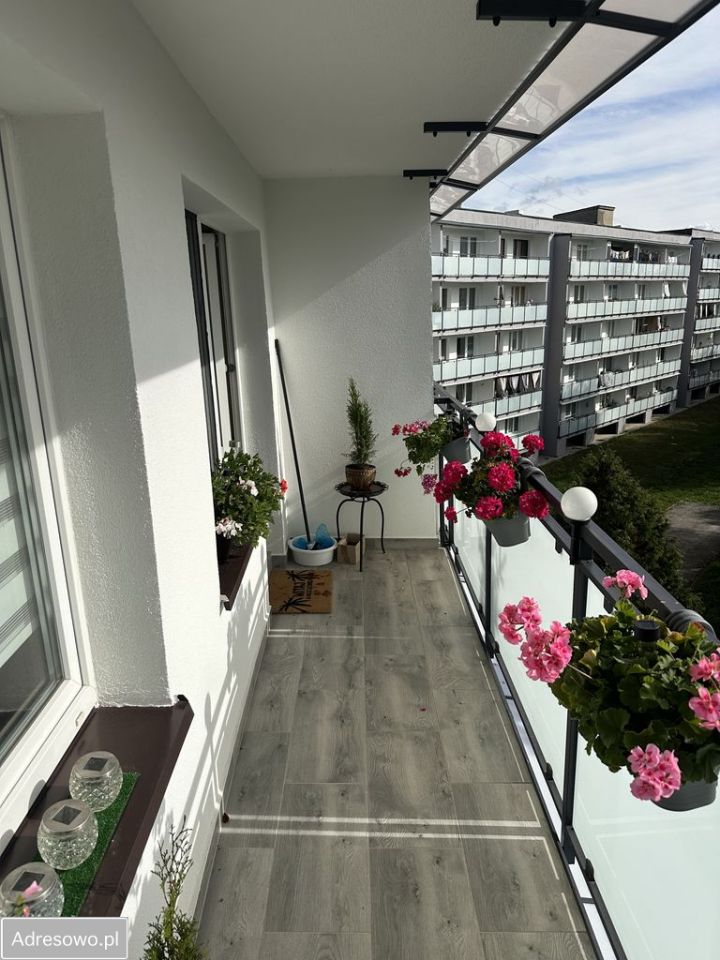 Mieszkanie 2-pokojowe Bełchatów, os. Okrzei. Zdjęcie 11