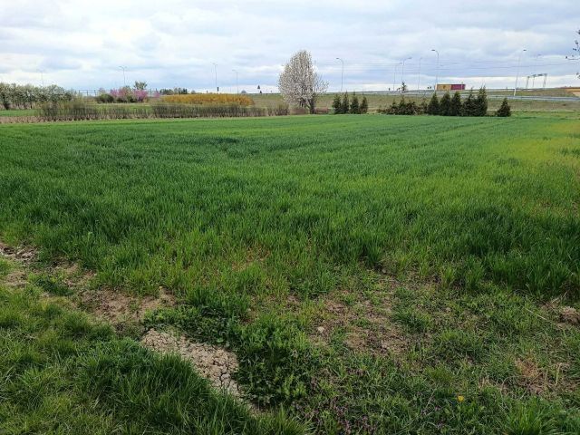 Działka budowlana Lublin. Zdjęcie 1