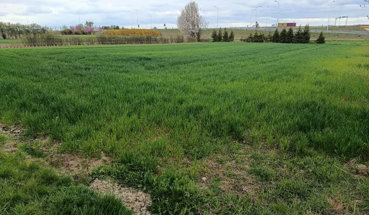 Działka budowlana Lublin