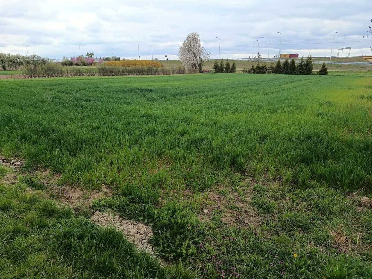 Działka budowlana Lublin. Zdjęcie 1