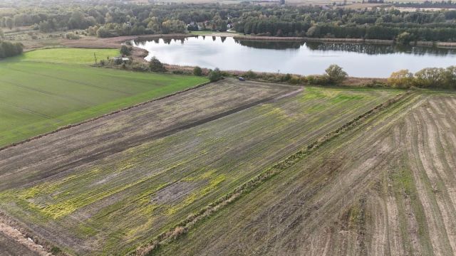 Działka rolna Rybno Wielkie. Zdjęcie 1