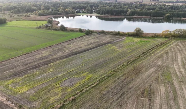 Działka rolna Rybno Wielkie