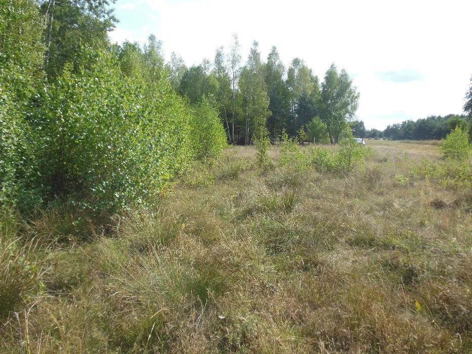 Działka budowlana Zabiełłów. Zdjęcie 5