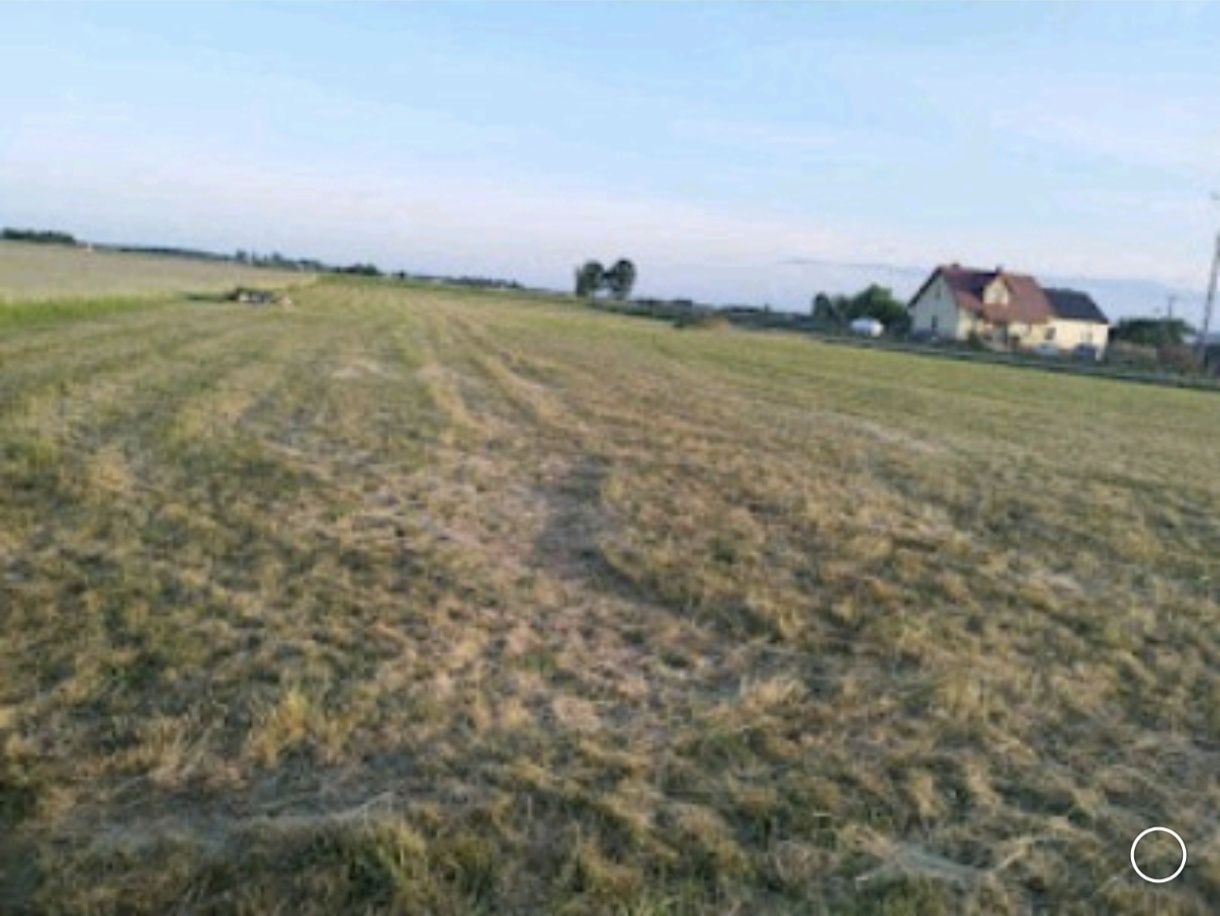 Działka budowlana Rajsko Małe. Zdjęcie 5