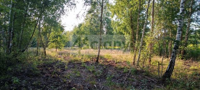 Działka budowlana Czarny Las. Zdjęcie 3