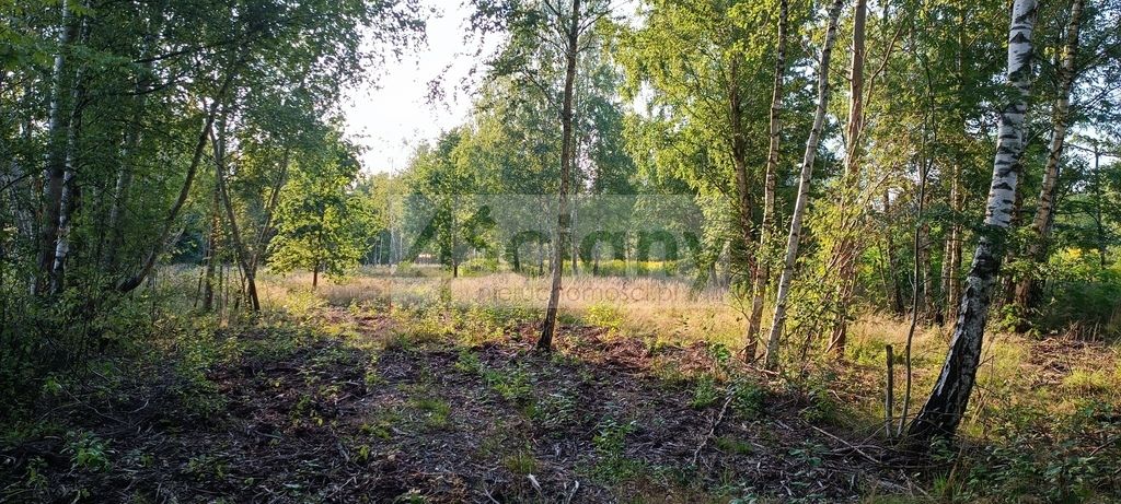 Działka budowlana Czarny Las. Zdjęcie 3