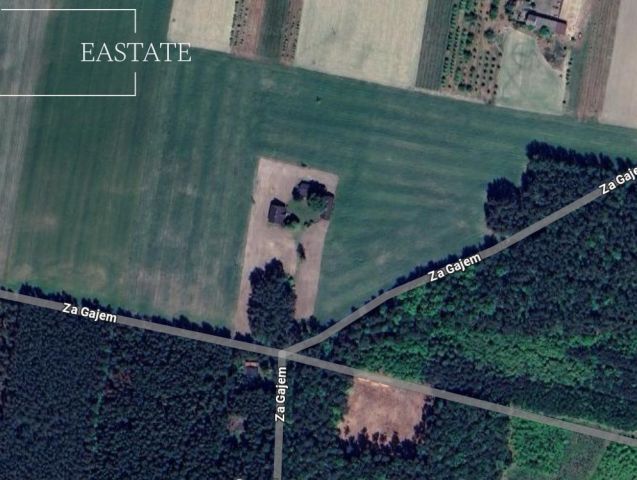 Działka rolna Petrykozy, ul. Za Gajem. Zdjęcie 4