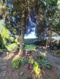 dom letniskowy Świekatowo. Zdjęcie 3