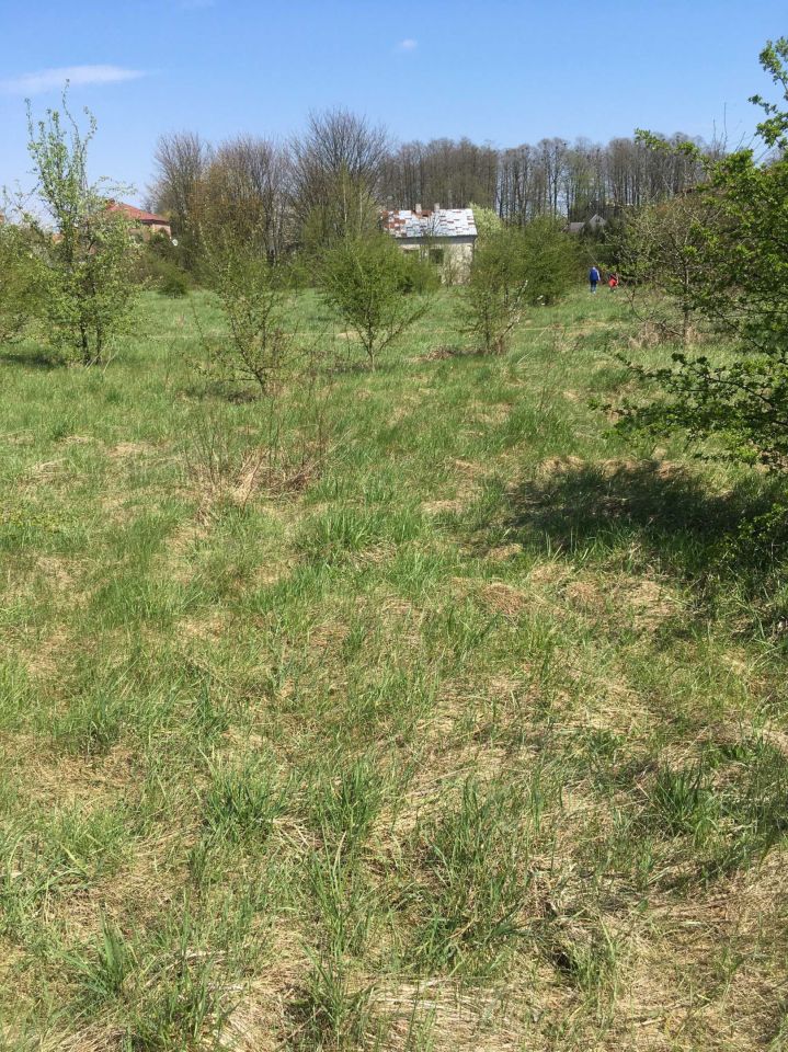 Działka budowlana Sokołów Podlaski, ul. Olszowa. Zdjęcie 6