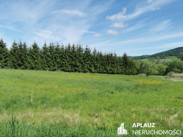 Działka budowlana Kaczorów. Zdjęcie 2