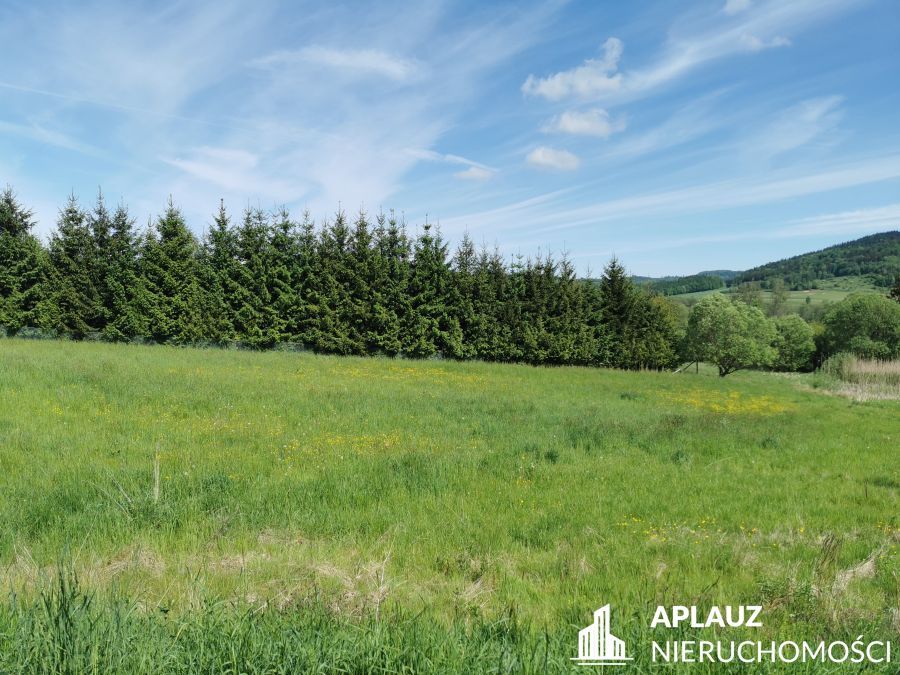 Działka budowlana Kaczorów. Zdjęcie 2