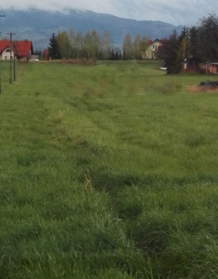 Działka budowlana Stadła. Zdjęcie 3