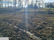 Działka budowlana Godzisław. Zdjęcie 2