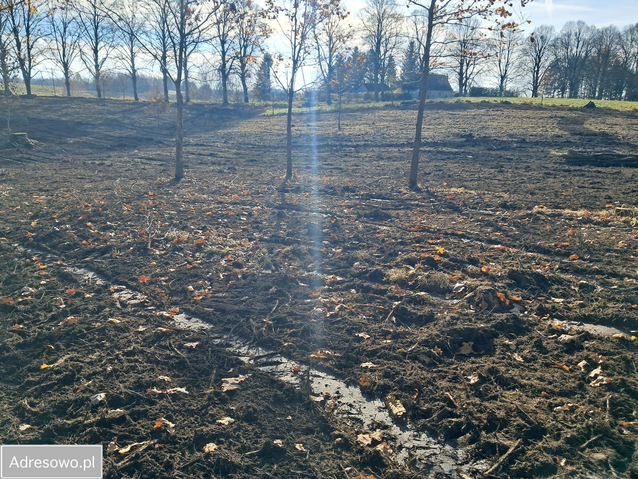 Działka budowlana Godzisław. Zdjęcie 3