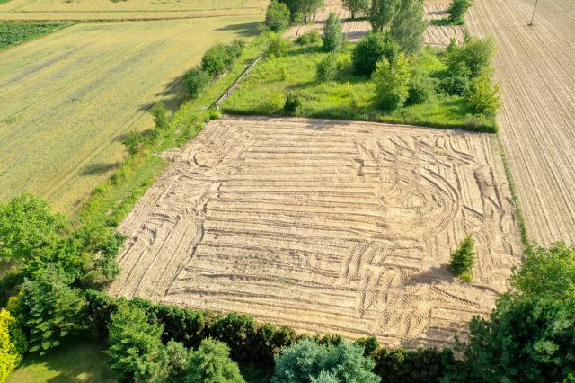 Działka budowlana Płouszowice-Kolonia. Zdjęcie 1