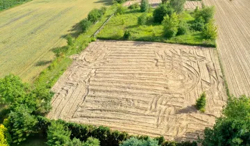 Działka na sprzedaż bez pośredników          
          
            Tomaszowice-Kolonia - Widok 6