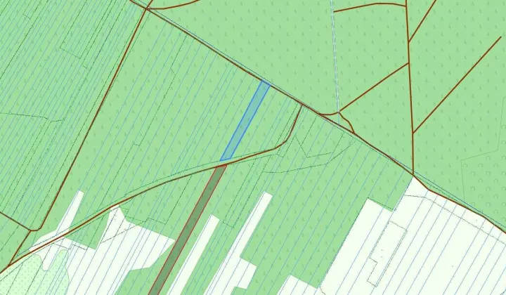 Działka inwestycyjna Trzcianka